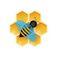 Hexagon natural honey struct. Bee honeycomb. Insects and honey. Vector illustration