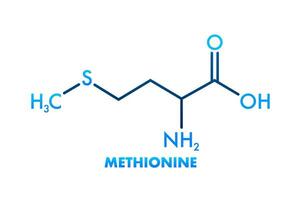 icono con metionina fórmula. aminado ácido molécula. vector