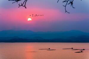 Birds flying over mountains and lake during sunset photo