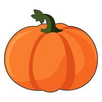 Colorful Pumpkin flat illustration, Free Cute pumpkin vector clipart