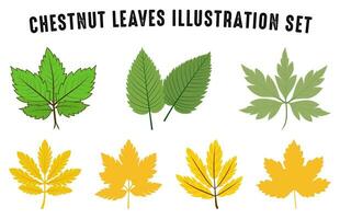 Set of colorful autumn leaves vector, Autumn forest leaf illustration bundle, Fall leaves collection vector