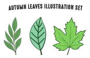 Set of colorful autumn leaves vector, Free Autumn forest leaf illustration bundle, Fall leaves collection vector