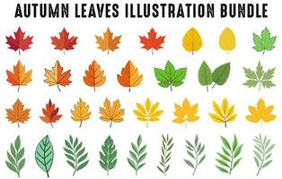 Set of colorful autumn leaves vector, Autumn forest leaf illustration bundle, Fall leaves collection vector