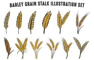 Set of Barley Grain Stalk vector illustration, free Cornstalk Silhouette vector set
