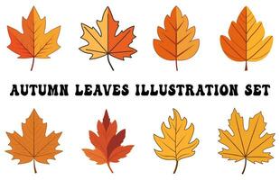 Set of colorful autumn leaves vector, Autumn forest leaf illustration bundle, Fall leaves collection vector