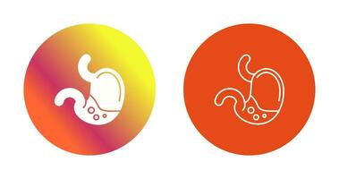 Stomach Vector Icon