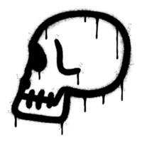 rociar pintado pintada cráneo icono rociado aislado con un blanco antecedentes. pintada cráneo símbolo con terminado rociar en negro terminado blanco. vector