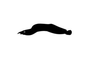 Silhouette of the fire eel, Mastacembelus erythrotaenia, is a relatively large species of spiny eel, can use for art Illustration, logo type, pictogram, website, or graphic design element. Vector