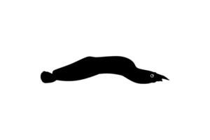 Silhouette of the fire eel, Mastacembelus erythrotaenia, is a relatively large species of spiny eel, can use for art Illustration, logo type, pictogram, website, or graphic design element. Vector