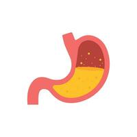 Stomach icon. Human internal organs symbol. Vector stock illustration