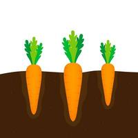 Carrot icon. Flat design on a white background. Vector stock illustration.