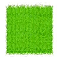 Circle With Grass, Green grass background. Frame. Vector Illustration.