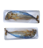 Mackerel in foam pack PNG transparent