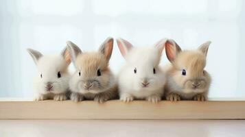 un encantador grupo de linda conejos en contra un minimalista fondo foto