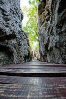 Wooden bridge in the narrow gorge photo