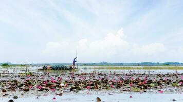 Local fisherman are preparing fish traps on a boat, Thailand photo