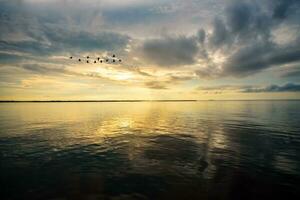 aves volador durante el amanecer terminado Songkhla lago, Tailandia foto