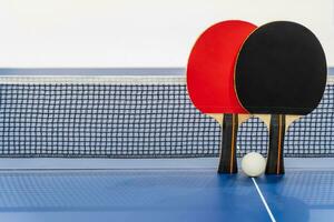 Black and red table tennis paddle with a net photo