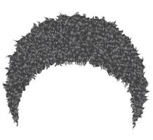 trendy curly african short gray hair  . realistic  3d . fashion beauty style.afro vector