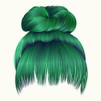 bun  hairs with fringe green colors . women fashion beauty style . vector