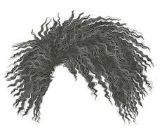 curly disheveled african gray  hair vector