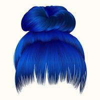 bun  hairs with fringe dark blue colors . women fashion beauty style . vector