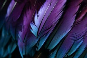 Purple feathers. Generate Ai photo