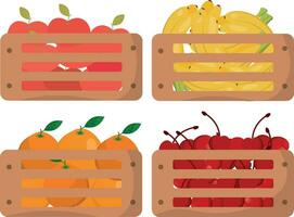 fruit in wooden crates vector