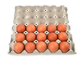 eggs in paper tray photo