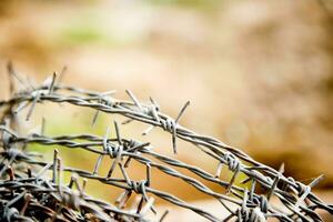 old rusty barbed wire photo