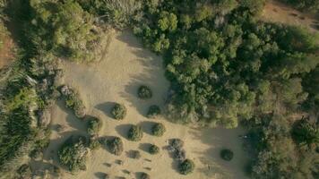 Aerial view of landscape with sandy surface and lake video