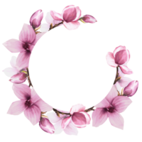 bloemen ronde voorjaar kader met waterverf roze magnolia bloemen, tak, bladeren en knoppen. hand- geschilderd illustratie. botanisch reeks voor bruiloft, uitnodigingen en groet kaarten png