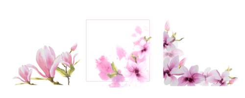 bloemen kader uitrusting met waterverf roze magnolia tak bloemen, bloemknoppen en bladeren hand- geschilderd illustratie met aquarel vlekken. ontwerp voor bruiloft uitnodigingen groet kaarten png