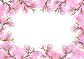floral Cadre avec aquarelle rose magnolias branche fleurs et bourgeons. main peint illustration avec rose aquarelle taches. conception pour mariage invitations et salutation cartes png