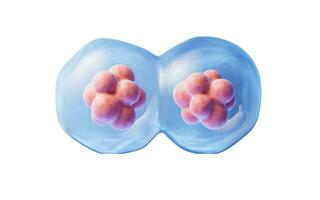 mitosis de células con biotecnología concepto, 3d representación. foto