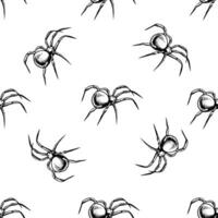 Seamless pattern of hand-drawn spider. Drawing sketch of the black spider. Halloween, folklore black magic attribute. Vector. vector