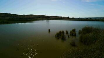 aranjuez reservoir in Madrid Spanje video