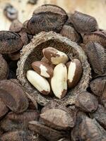 Brazil nuts on a board photo