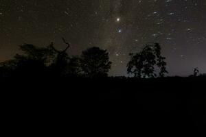 starry night sky angled astrophotography photo