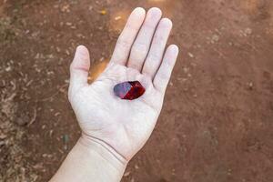 hand with piece of ruby photo