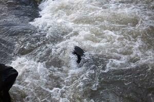 water flow of a river with rocks photo