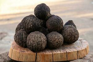 whole Brazil nut group fruits photo