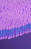 Cell membrane structure background, 3d rendering. photo