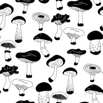 Vector linear seamless pattern with mushrooms. A hand-drawn texture with edible large mushrooms highlighted on a white background. Botanical illustration of natural elements. Details about the forest photo