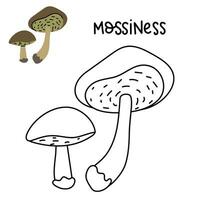 Contour and color drawing of an edible mushroom mossiness with names for coloring. Isolated vector flat illustration. Edible mushrooms in forests, large and small, study, play, creativity on white