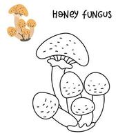 Contour and color drawing of an edible mushroom honey fungus with names for coloring. Isolated vector flat illustration. Edible mushrooms in forests, large and small, study, play, creativity on white
