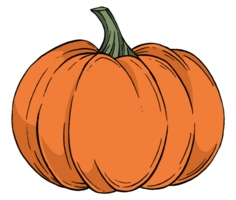 Pumpkin in hand drawing brush style  isolated on transparent PNG. Perfect for halloween party. png