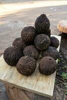 whole Brazil nut group fruits photo