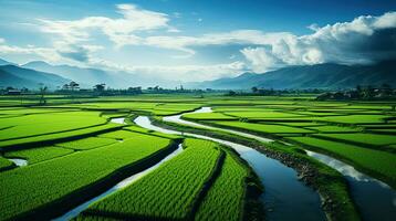 aéreo tierras de cultivo fotografía verde arroz campos generativo ai foto