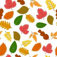 Seamless pattern with autumn leaves. Vector illustration.